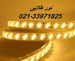 ریسه شلنگی وایرلس 2835 تک لاین اکونومی با رنگ (آفتابی) - پرتو درخشان (GCC)